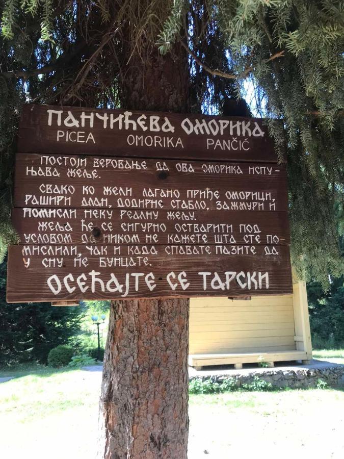 Apartman Mendrea Konjska Reka 외부 사진